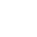 logo boroto